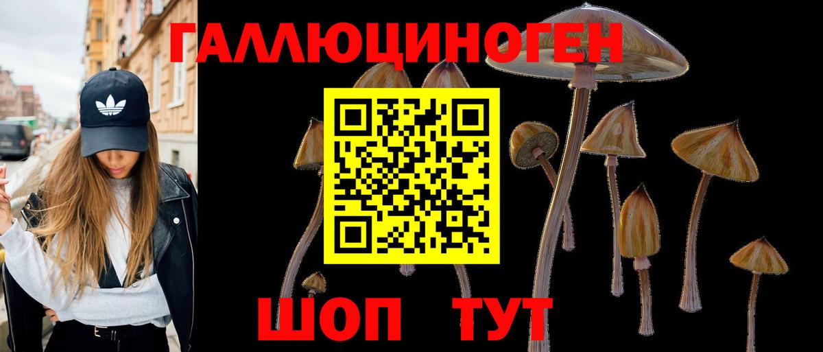 Галлюциногенные грибы прущие грибы  Вход с VPN  Луга 